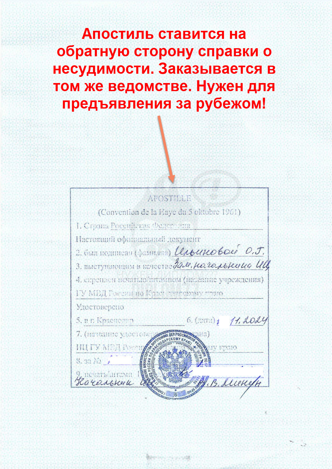 Апостиль на справке о несудимости из Краснодарского края в 2024 г. (ИЦ МВД КК)