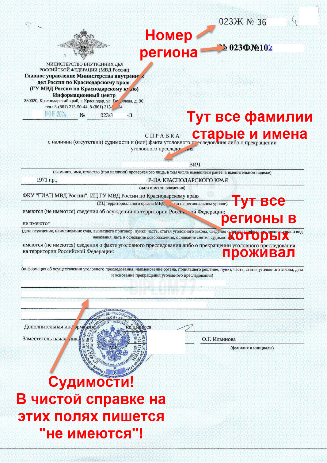 Справка об отсутствии судимости из ИЦ МВД Краснодарского края (ноябрь 2024 г.)
